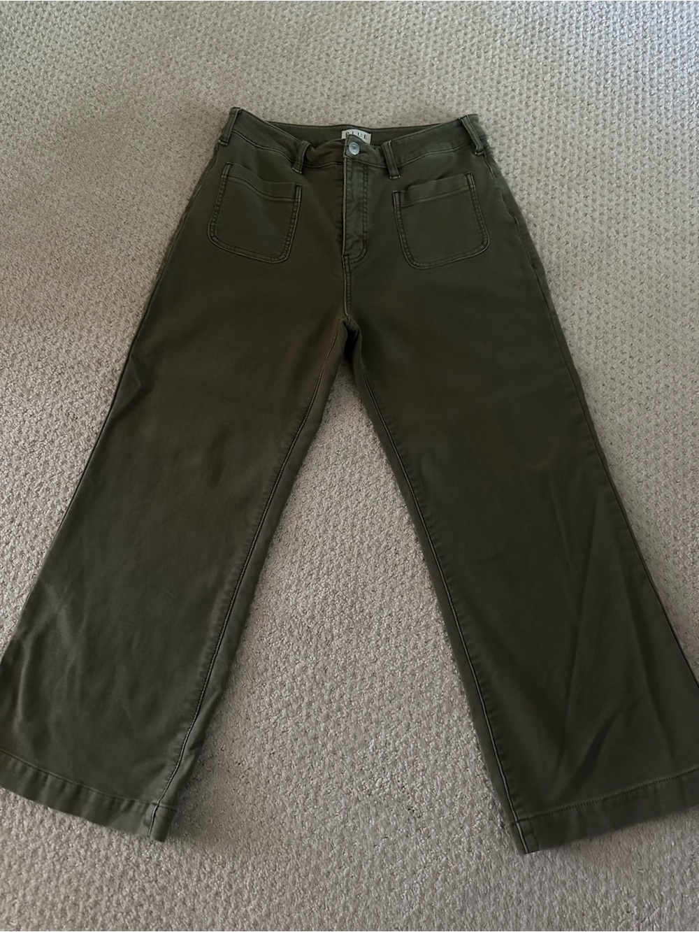 Wide-Leg Ankle Pants in Olive Green